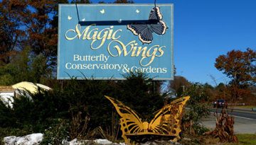 magic-wings-deerfield